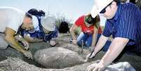 Fóssil de 90 milhões de anos será colocado em exposição em museu do Novo México  Foto: The Huffington Post / Reprodução