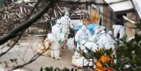 Funcion&aacute;rios da prefeitura de Miyazaki removem frangos em sacolas de uma fazenda onde casos de gripe avi&aacute;ria foram identificados, em Nobeoka, Jap&atilde;o. 16/12/2014.  Foto: Kyodo / Reuters