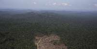 Imagem aérea de área devastada na floresta amazônica, no Pará. 22/09/2013  Foto: Nacho Doce / Reuters