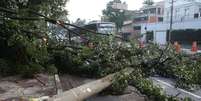 Raios e árvores caídas: veja fotos da tempestade em SP  Foto: Luiz Claudio Barbosa / Futura Press
