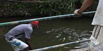 <p>Moradores se arriscam para pegar água de bica no Canal das Taxas, onde vivem jacarés</p>  Foto: Ariel Subirá / Futura Press