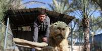 Múmias de animais revelam os estragos da guerra em Gaza  Foto: Daily Mail / Reprodução