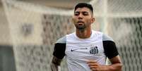 Gabigol perdeu espaço com Enderson após voltar do Sul-Americano  Foto: Ivan Storti / Divulgação Santos FC