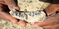 Cientistas encontraram uma mandíbula com cinco dentes que pertenceram ao nosso ancestral mais antigo: com 2,8 milhões de anos  Foto: IFL Science / Reprodução