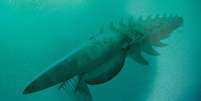 Monstro marinho levava na cabeça uma rede de espinhos que filtrava os alimentos  Foto: Science / Reprodução