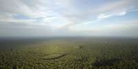 Vista geral da floresta amazônica em São Sebastião do Uatuma, no Amazonas, em janeiro de 2015  Foto: Bruno Kelly / Reuters