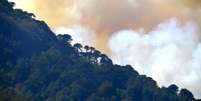 Depois de destruir milhares de araucárias - uma árvore típica da região -, as chamas chegaram ao vizinho parque nacional Conguilló  Foto: Reuters
