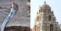 Cerimônia reuniu entre 12 mil e 15 mil pessoas em templo hindu  Foto: Mirror / Reprodução