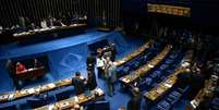 Projeto de lei agora segue para a Câmara dos Deputados  Foto: Fabio Rodrigues Pozzebom / ABr