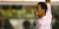 Aos 34 anos, Ricardo Oliveira marcou dez gols pelo Santos na temporada  Foto: Guilherme Dionizio / Gazeta Press