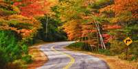 Nova Inglaterra tem belíssimas paisagens que criam cenário romântico no outono   Foto: Leena Robinson/Shutterstock