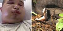 Americano &eacute; internado ap&oacute;s tentar beijar cobra venenosa  Foto: The Mirror / Reprodu&ccedil;&atilde;o