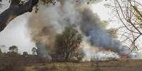 Militares dizem que bases do Boko Haram na floresta de Sambisa foram destruídas  Foto: Nigeria Military