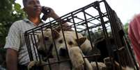 Cães são vendidos em mercado em Yulin; ativistas tentaram cancelar festival, sem sucesso  Foto: Reprodução / BBC News Brasil