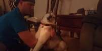 Dono tenta colocar o cão em pé, mas sem sucesso  Foto: Youtube/ TonyCostaMovies / Reprodução