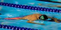 No último dia da natação no Pan de Toronto, Thiago Pereira se tornou o maior medalhista dos Jogos superando marca de ginasta cubano  Foto: Osmar Portilho / Terra