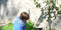 Benjamin planta sua primeira árvore em foto postada pela mãe, Gisele Bündchen, neste domingo (16)  Foto: @Gisele / Instagram/Reprodução