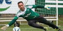 Fernando Prass - goleiro do Palmeiras -  Foto: Daniel Vorley/AGIF / Lancepress!
