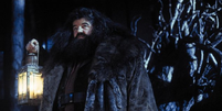 Rúbeo Hagrid, interpretado por Robbie Coltrane, não tem memórias felizes, segundo a autora britânica  J. K. Rowling  Foto: IMDb / Divulgação