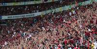 Segundo estudo, o Flamengo tem 53% de sua força nas mãos da torcida  Foto: Felipe Costa / Futura Press