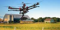 Mais de 80% do uso civil de drones têm como destino a área agrícola  Foto: alik / Shutterstock