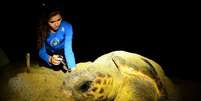 Lama atingiu Rio Doce durante a reprodução dos peixes e chegou ao mar durante a reprodução das tartarugas marinhas  Foto: Projeto Tamar/Divulgação
