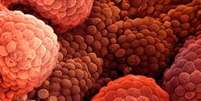 Em geral, corpo não reconhece tumor como inimigo, porque ele se desenvolvem a partir de células saudáveis. A nova técnica pretende alterar essa lógica  Foto: Divulgação/BBC Brasil / BBC News Brasil