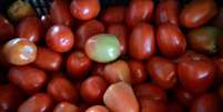 O tomate foi um dos produtos que mais encareceram em Janeiro, segundo o Dieese  Foto: Agência Brasil