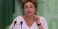 A presidente Dilma Rousseff  Foto: Lula Marques/ Agência PT