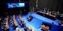 Plenário do Senado brasileiro  Foto: Wikimedia / O Financista