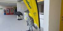 Delegação da Austrália coloca estátua de canguru na frente de quartos após comentário de Paes  Foto: Divulgação