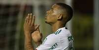 Gabriel Jesus tem dez gols no Campeonato Brasileiro  Foto: Cesar Greco/Ag. Palmeiras / LANCE!