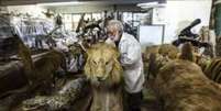 Professor João Galdino em meio ao acervo de mais de 6 mil animais empalhados, construído ao longo de cinco décadas  Foto: Sergio Ranalli / BBC News Brasil