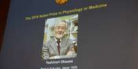 Yoshinori Ohsumi foi laureado com o Prêmio Nobel de Medicina de 2016   Foto: EFE