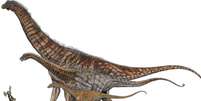 O Austroposeidon magnificus é o maior da ilustração, que compara o tamanho dele com o de outros dinossauros e um humano  Foto: Museu de Ciências da Terra/Divulgação