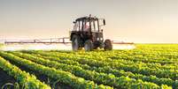  Agricultura foi o setor que teve maior retração no trimestre  Foto: iStock