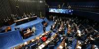 Foram apresentados três destaques para votação em separado  da PEC do Teto dos Gastos Públicos  Foto: Fabio Rodrigues Pozzebom/Agência Brasil