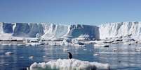 Foto de arquivo mostra um pinguim sobre bloco do gelo de derretimento perto da estação francesa na região leste da Antártica  Foto: Pauline Askin / Reuters