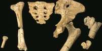 Ossos do esqueleto do hominídeo de 3,2 milhões de anos   Foto: Science Photo Library / BBC News Brasil