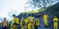 Fogo na mata foi combatido por vários homens da brigada de incêndio e do Corpo de Bombeiros  Foto: liy/Futura Press