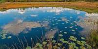 Cientistas suspeitam que brejos dinamarqueses eram locais de depósito de sacrifícios humanos para divindidades da Idade do Ferro   Foto: Alamy / BBC News Brasil