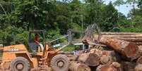 Desmatamento de 2016 na Amazônia é o maior desde 2008, segundo levantamento do Ipam  Foto: Agência Brasil