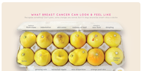 A campanha mostra em 12 limões os sinais do câncer de mama e o aspecto que a doença dá ao seio   Foto: Worldwide Breast Cancer / BBC News Brasil