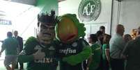 Mascotes de Chapecoense e Palmeiras se abraçam na Arena Condá (Foto: Divulgação)  Foto: Lance!