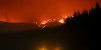 Incêndio florestal já dura duas semanas e devastou uma enorme área verde do país  Foto: Reuters