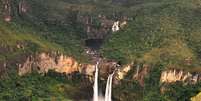 Plantas do cerrado atuam como uma imensa esponja, recarregando aquíferos que abastecem rios e reservatórios  Foto: Nelson Yoneda/ICMBio / BBC News Brasil