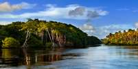 Paraíso turístico, Trinidad e Tobago fica a poucos minutos de avião dos Estados Unidos  Foto: iStock