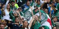 Torcida gerou mais de R$ 100 milhões ao Palmeiras em 2016  Foto: Agência Palmeiras / LANCE!