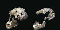 Imagem compara o crânio de um homo naledi descoberto em 2013 (dir.) com outro encontrado recentemente.  Foto: EFE