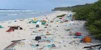 A ilha fica a cerca de 5.5 mil km da costa do Chile  Foto: Jennifer Lavers/Universidade da Tasmânia / BBC News Brasil